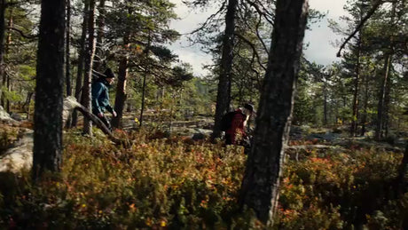 Autumn Hike in Luleå, Sweden: Exploring the Forest Trails of Bällingeberget