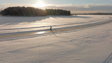 Winter Walk in Luleå: Person and Dog Enjoying a Scenic Sunset Over a Frozen River