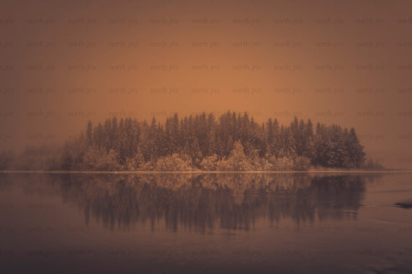 Island of conifer trees with snow at sunrise, Gäddvik