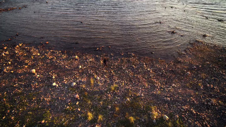 Golden Hour Walk on a Rocky Beach in the Luleå Archipelago, Sweden
