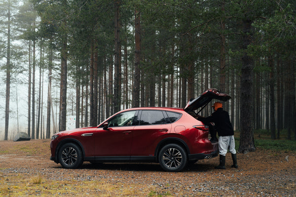 Red SUV parked in pine forest on a foggy morning
