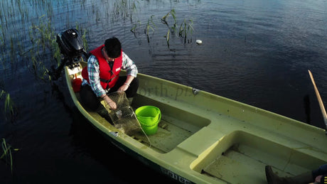 Checking Crayfish Traps From a Boat on a Calm Summer Evening in Luleå, Sweden