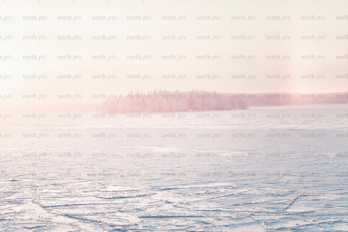 Frozen lake with distant tree-covered island at sunrise
