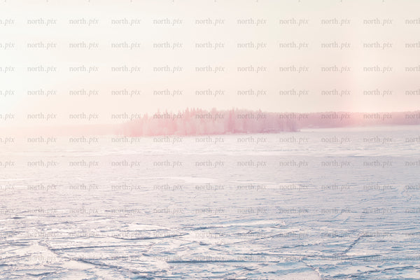 Frozen lake with distant tree-covered island at sunrise