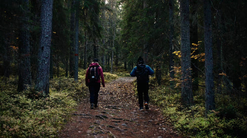 Höstvandring i Luleå, Sverige: Två personer utforskar skogsstig på Bälingeberget