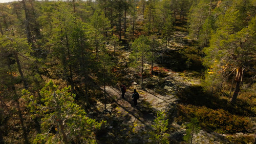 Höstpromenad i skogen: Drönarbild av två personer som vandrar i Luleå, Sverige