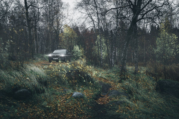 Car with headlights in autumn forest at dusk