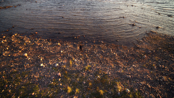 Golden hour walk on a rocky beach in the Luleå archipelago