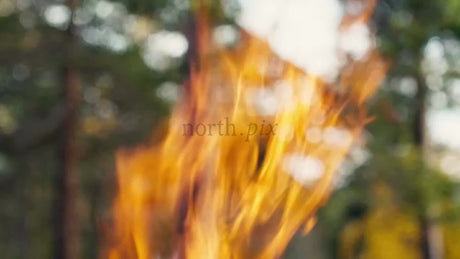 Bright Bonfire Burning in a Forest in Luleå, Sweden - Daytime Close-Up