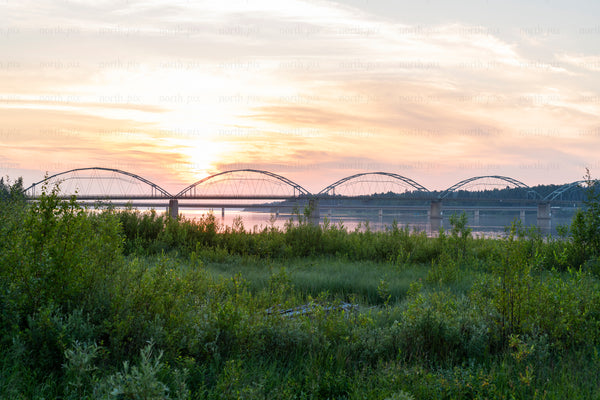 Arch bridge over river at sunset with foreground vegetation