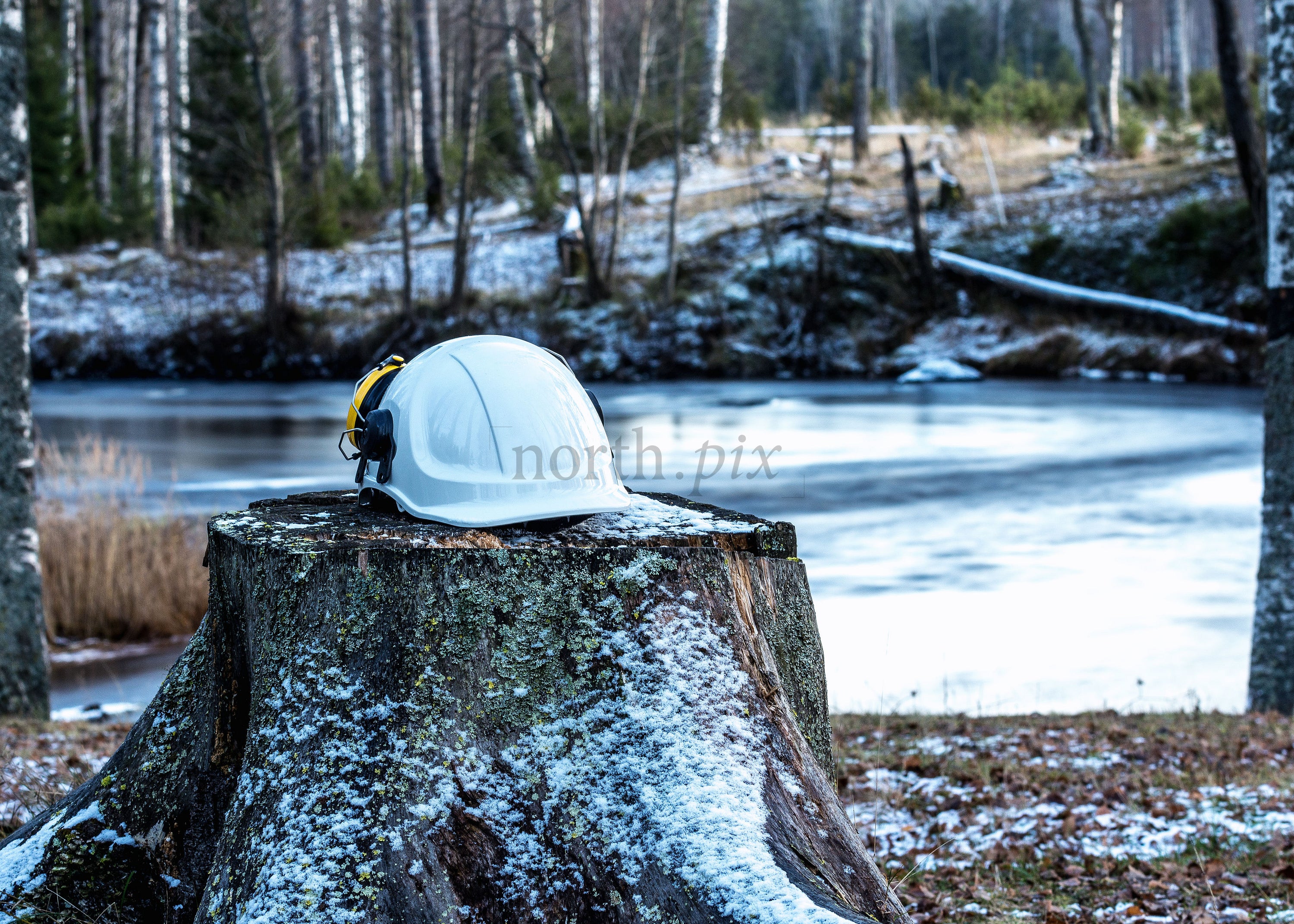 White safety helmet on tree stump by lake, winter morning