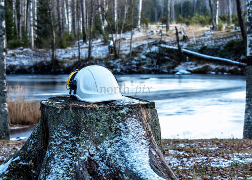 White safety helmet on tree stump by lake, winter morning
