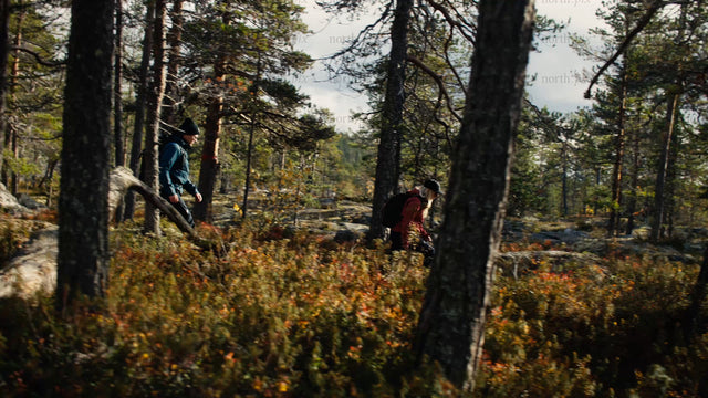 Autumn hike in Luleå: Exploring the forest trails of Bällingeberget