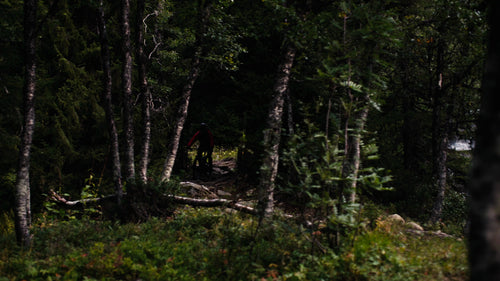 Mountainbiker åker utför i skogen nära vattenfall på sommaren