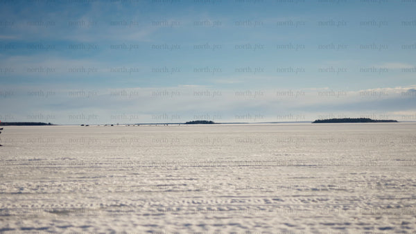 Cross-country skiing in winter