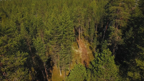 Summer fatbiking in Sandön, Luleå: A drone's eye view of Swedish forest trails