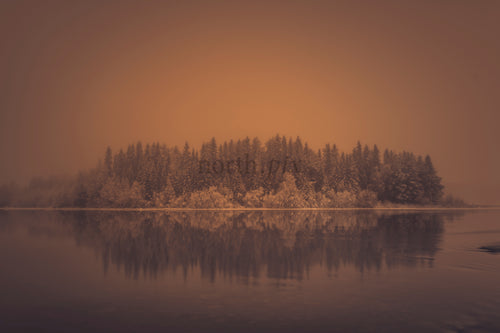 Island of conifer trees with snow at sunrise, Gäddvik