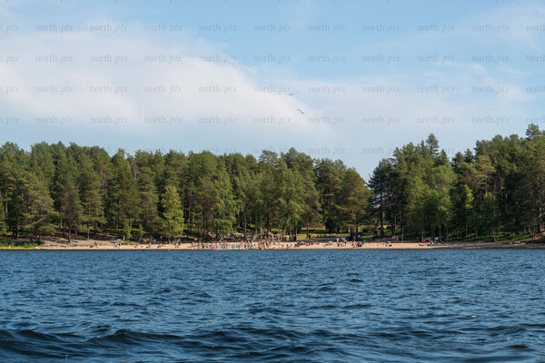 People on a lakeshore with pine forest, summer afternoon