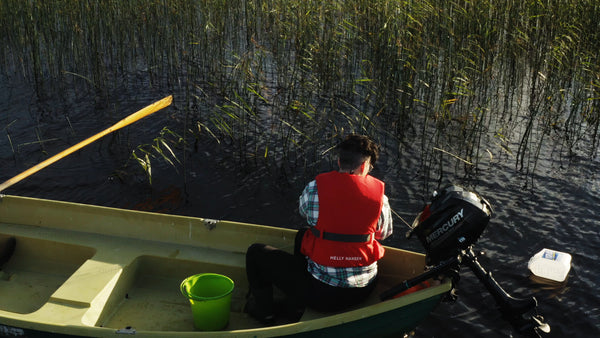 Checking crayfish traps: A summer fishing scene in Luleå
