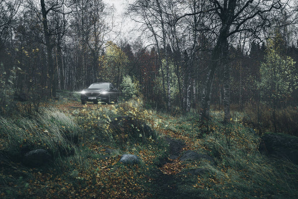 Car with headlights in autumn forest at dusk
