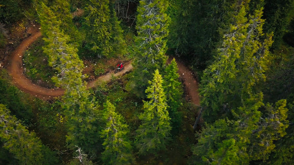 Mountain biker riding downhill on winding forest trail