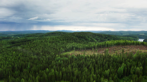 Flygfoto över Ubbynskogen: Frodigt grönt landskap med avskogning