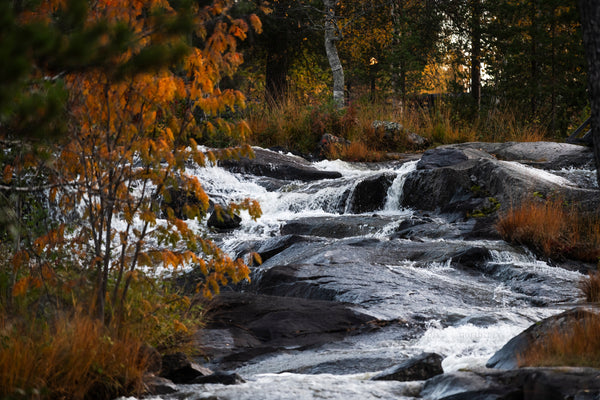 Autumn stream cascading over rocks in forest