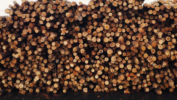 Stacked logs in timber yard: Forestry, wood, lumber, and environment