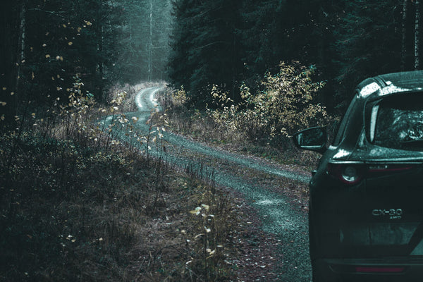 Car parked on a forest gravel road in autumn dusk