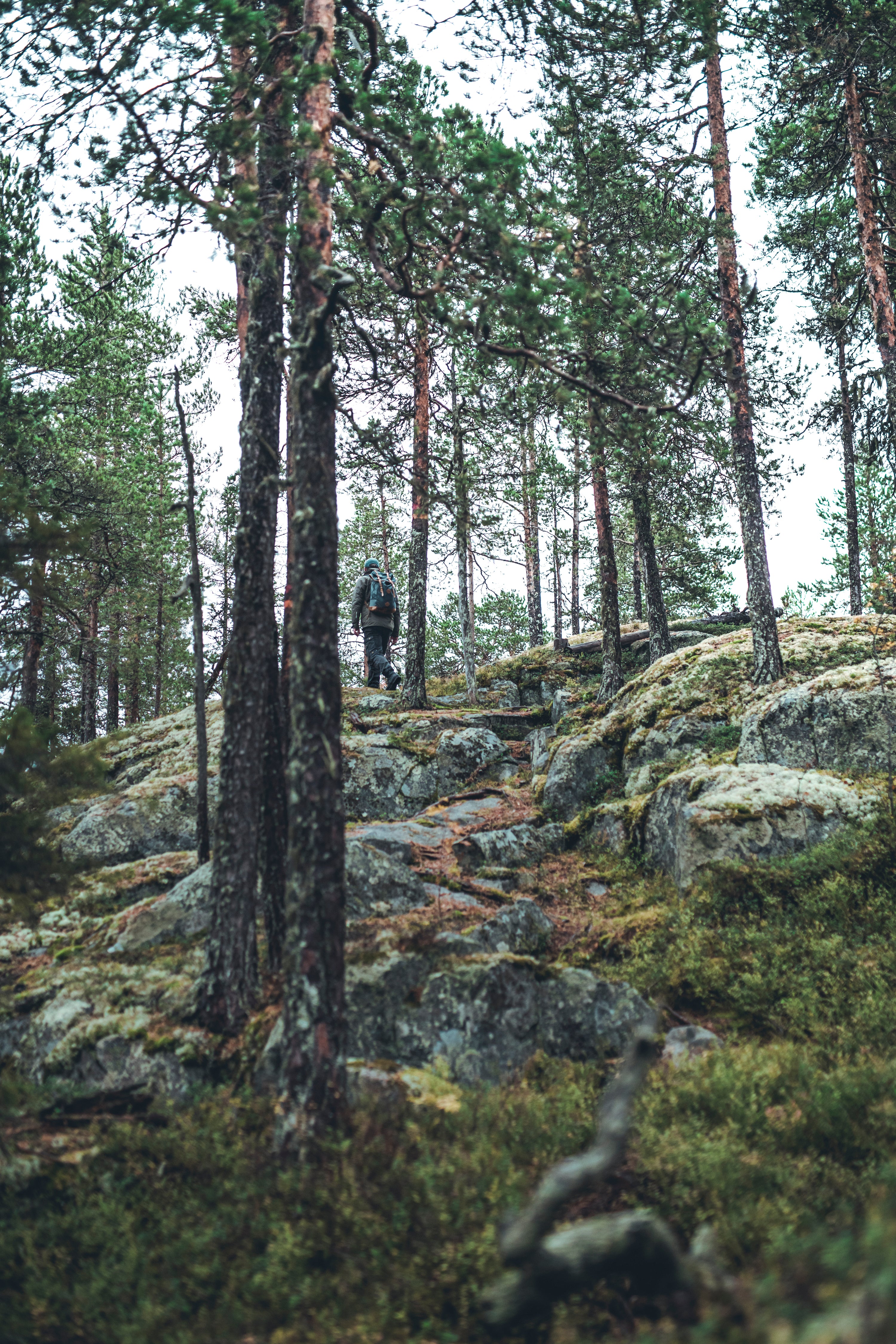 _DSC7599.jpg