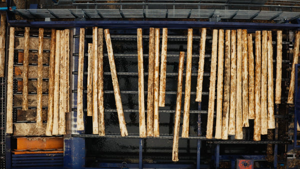 Aerial view of logs floating on water in a sawmill during summer