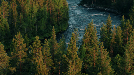 River Rafting in Gunnarsbyn, Sweden: A Summer Adventure