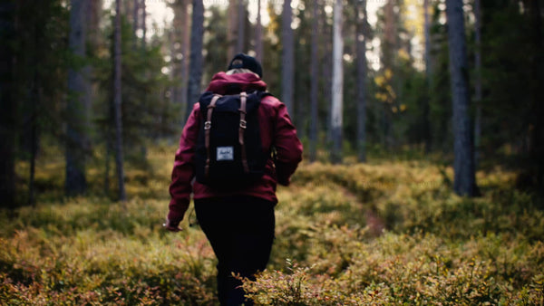 Autumn hike in Luleå: Exploring the forest trails