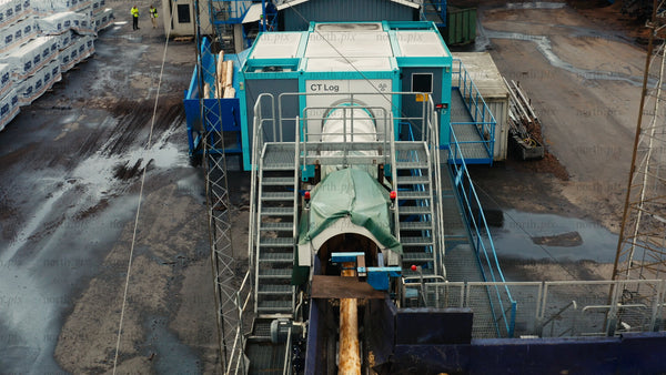 Forestry industry: Logs on conveyor belt at timber processing facility