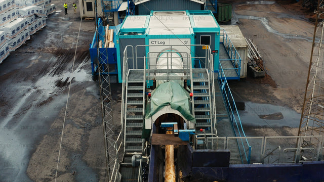 Forestry industry: Logs on conveyor belt at timber processing facility