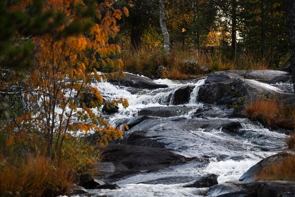 Autumn stream cascading over rocks in forest