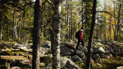 Höstvandring i Luleå, Sverige: Två vandrare utforskar skogen