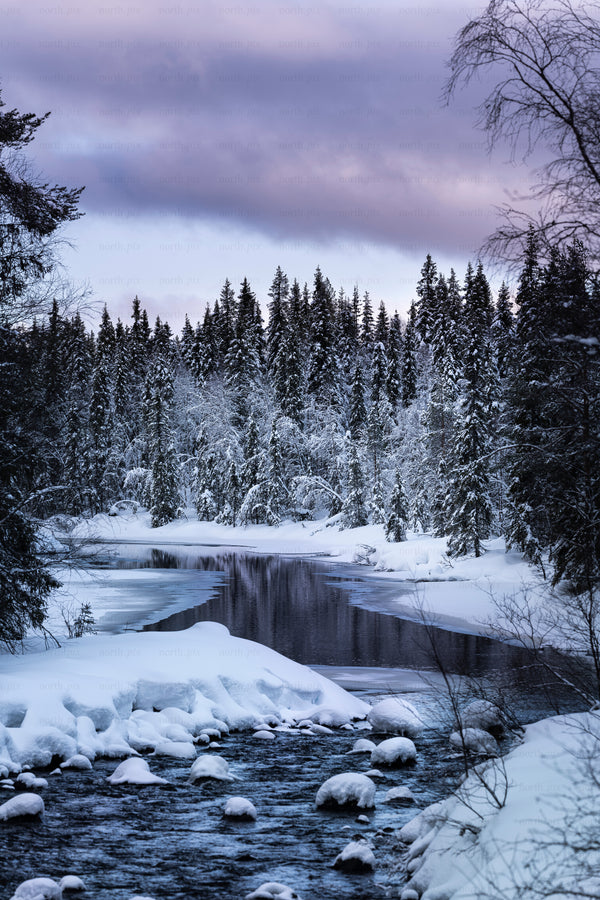 Snow-covered river winding through spruce forest at twilight