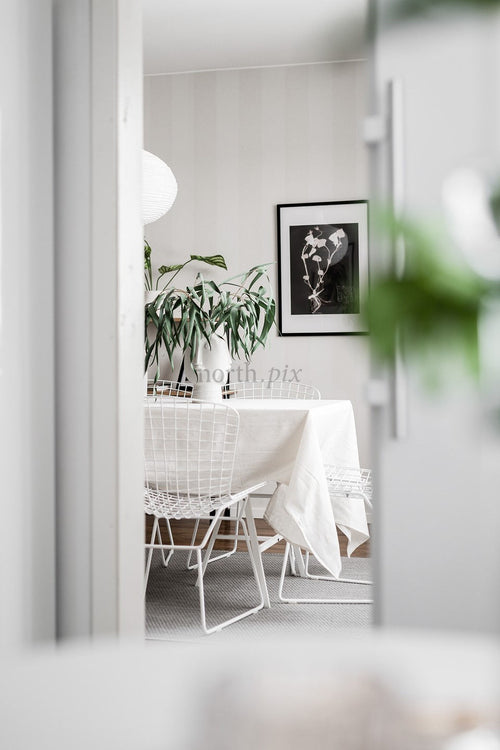 Dining table with white wire chairs and plants