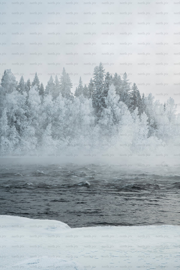 Frozen river with frosted forest and morning mist