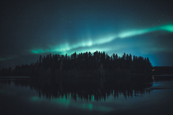 Northern Lights over forest and gäddvik at night