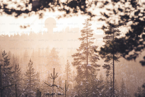 Radar station above snow-covered pine forest at sunrise