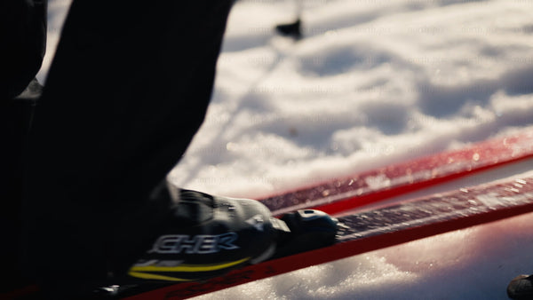Cross-country skiing in Luleå: A sunny winter day in the forest